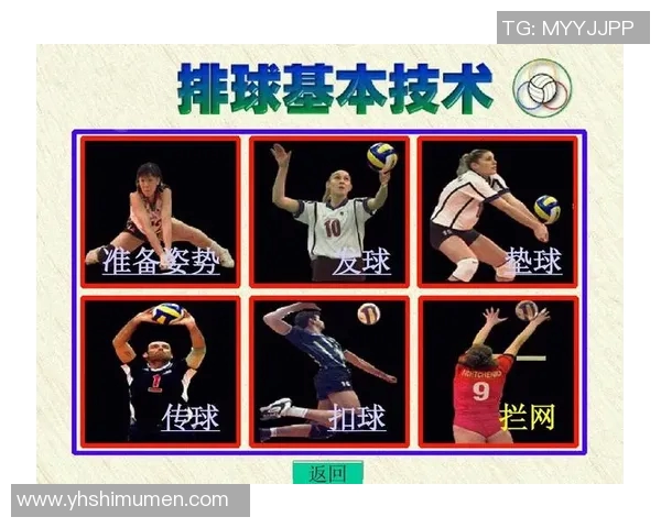 南京排球队技术分析与发展探讨聚焦排球竞技新趋势