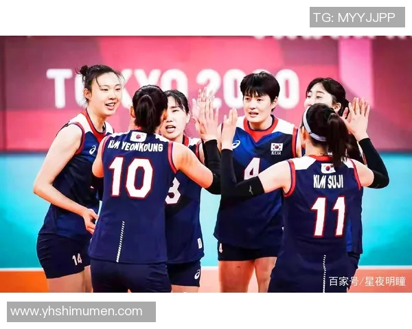 成都排球队战术解析与对比深度剖析球队表现与战略布局